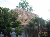 pictures from hieghts and other things 081